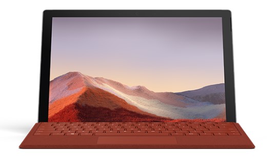 元谋清洁和维护 Surface